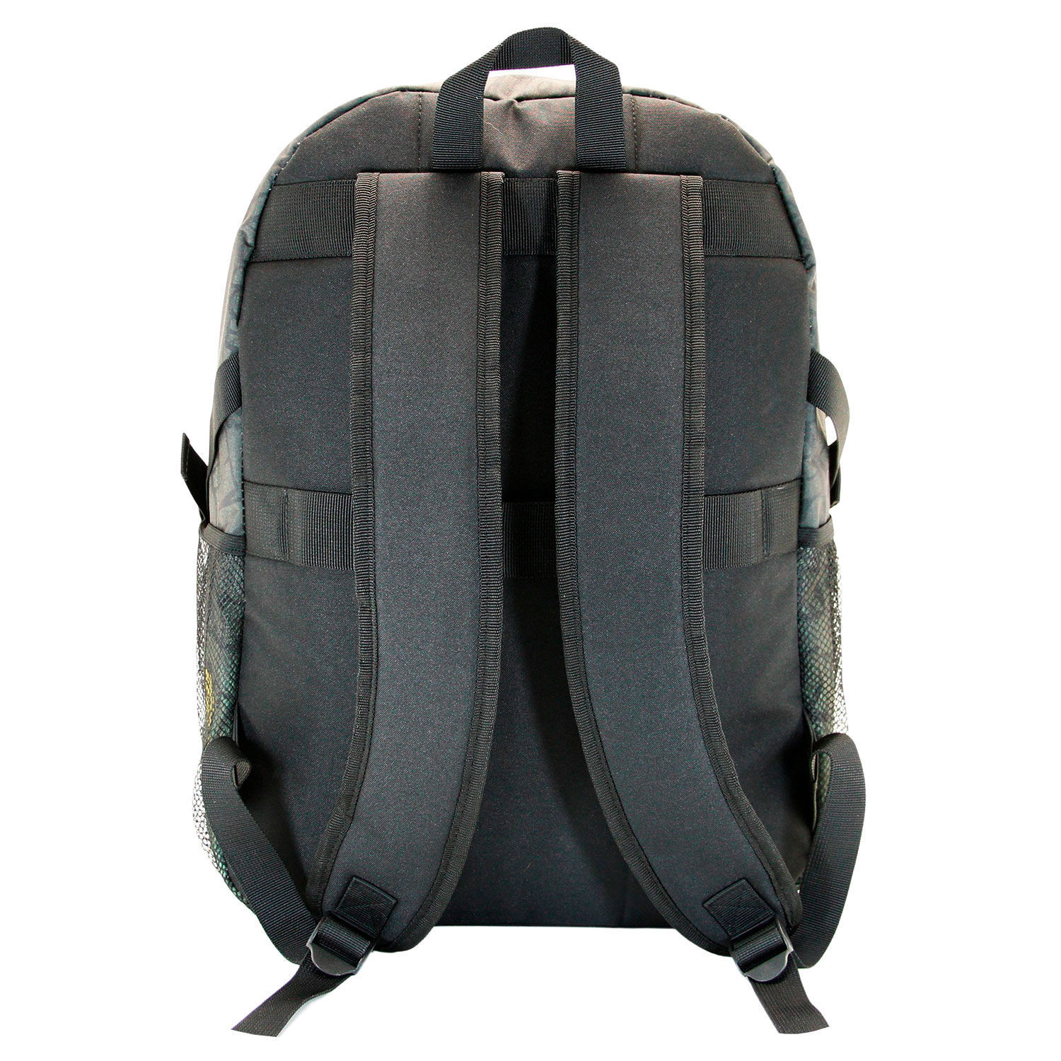 img-sarr-42498.2